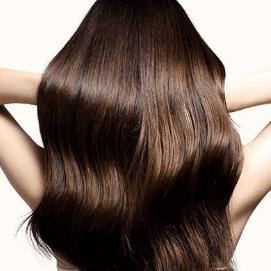 Exquisite Wigs