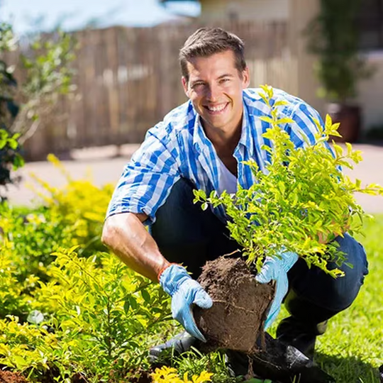 🔥Díol Teoranta - Ceannaigh 1 Faigh 1 Saor in Aisce + Tairiscintí Speisialta 50% Lascaine🔥Gníomhaire Scaoilte Feabhsúcháin Ithreach