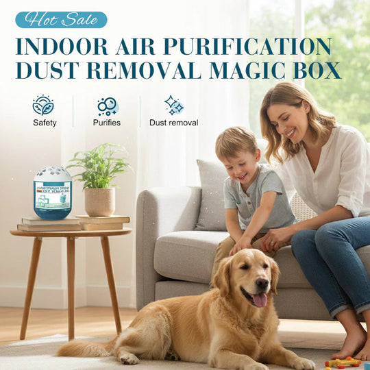 🔥Lowest price in the last 30 days🔥Indoor Air Purification Dust Removal Magic Box