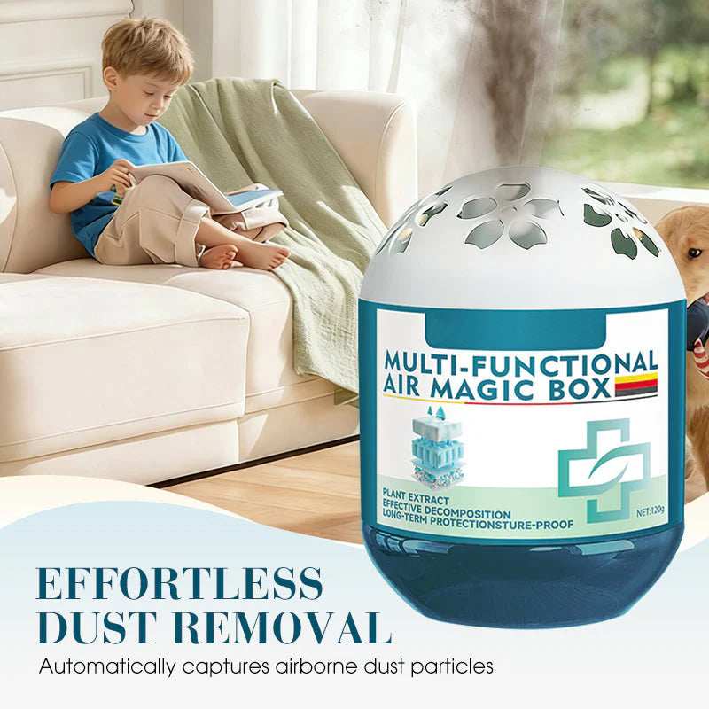 🔥Lowest price in the last 30 days🔥Indoor Air Purification Dust Removal Magic Box