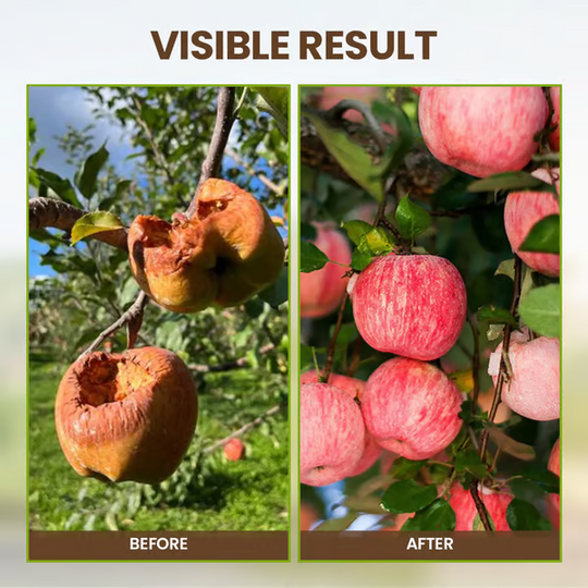 🔥Díol Teoranta - Ceannaigh 1 Faigh 1 Saor in Aisce + Tairiscintí Speisialta 50% Lascaine🔥Gníomhaire Scaoilte Feabhsúcháin Ithreach