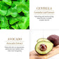 [Taren Cosmetics]Avocado Moisturizing Collagen Eye bagMask,60pcs/set Under Eye Mask, Eye Care Product for Dark Eye Bags, Skin Care  Gift Moisturizer Hydrating Comfort