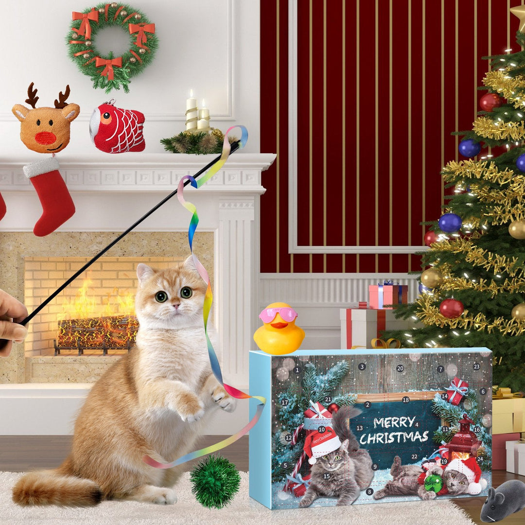 🎅Christmas Countdown Delight!🎅2025 New Cat Advent Calendar 24 Days Countdown