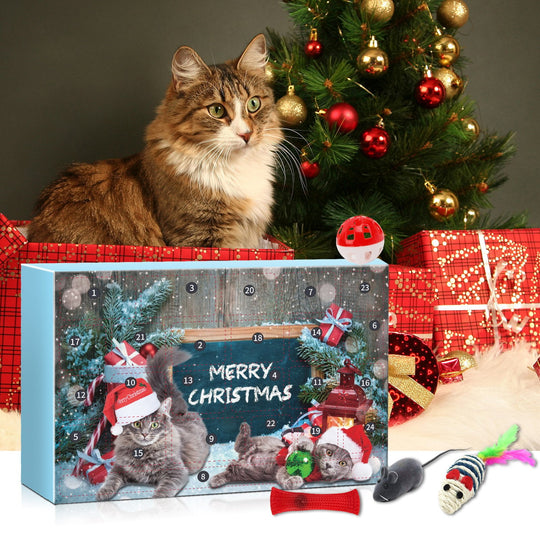 🎅Christmas Countdown Delight!🎅2025 New Cat Advent Calendar 24 Days Countdown