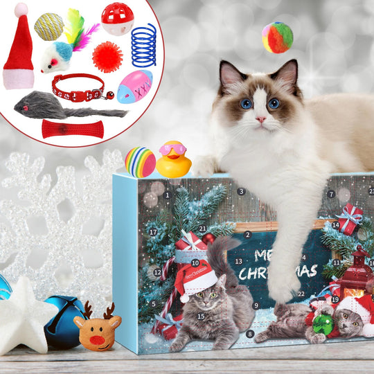🎅Christmas Countdown Delight!🎅2025 New Cat Advent Calendar 24 Days Countdown