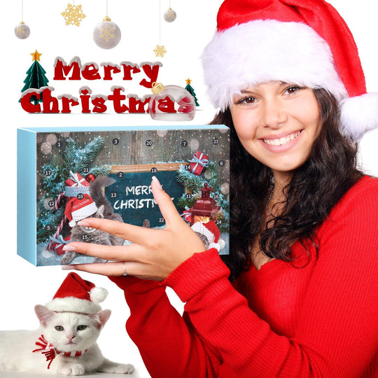 🎅Christmas Countdown Delight!🎅2025 New Cat Advent Calendar 24 Days Countdown