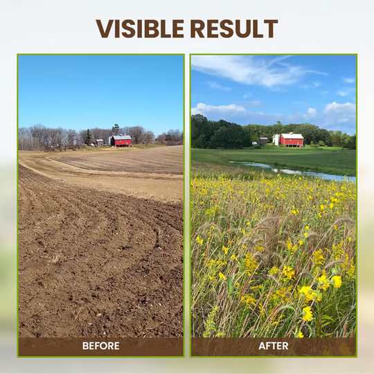 🔥Díol Teoranta - Ceannaigh 1 Faigh 1 Saor in Aisce + Tairiscintí Speisialta 50% Lascaine🔥Gníomhaire Scaoilte Feabhsúcháin Ithreach