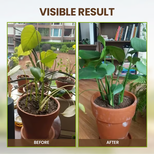 🔥Díol Teoranta - Ceannaigh 1 Faigh 1 Saor in Aisce + Tairiscintí Speisialta 50% Lascaine🔥Gníomhaire Scaoilte Feabhsúcháin Ithreach