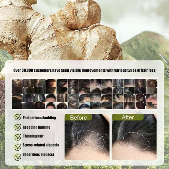 Ginger Plant Extract Hair Thickening Shampoo