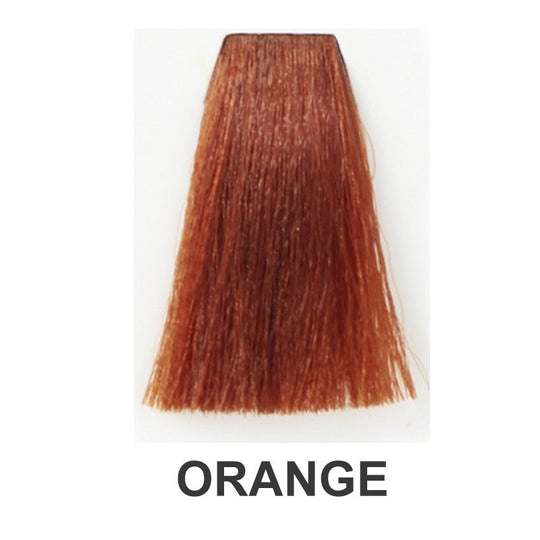 Vopsea permanentă de păr 90 ml cu revelator & Instrumente