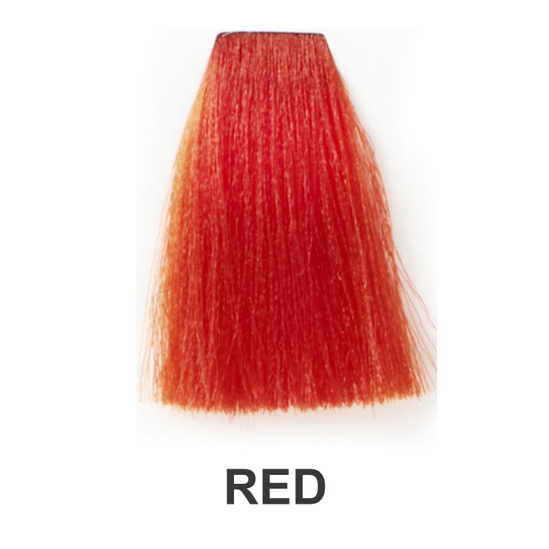 Vopsea permanentă de păr 90 ml cu revelator & Instrumente