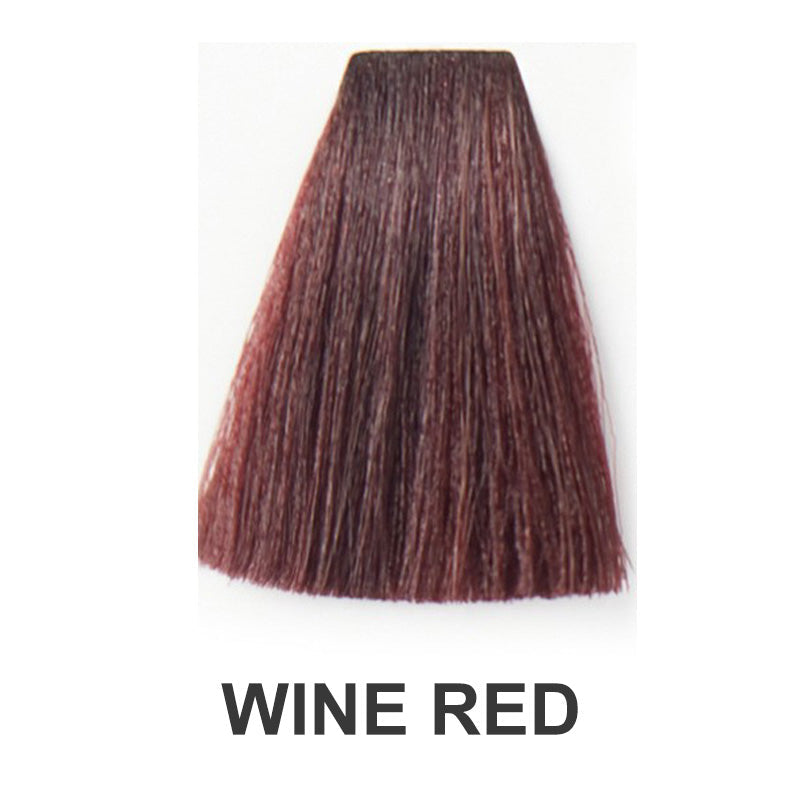 Vopsea permanentă de păr 90 ml cu revelator & Instrumente