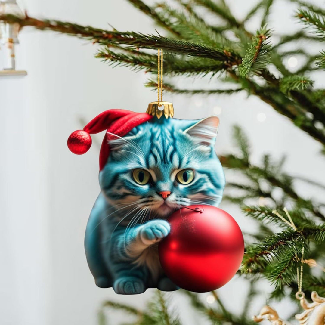 🎅🏻Ornamente de Crăciun pentru pisici😻