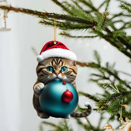 🎅🏻Ornamente de Crăciun pentru pisici😻