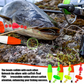 ⚡Promozione dell'ultimo giorno 50% di sconto⚡Attrezzatura galleggiante ad alta visibilità per il pesce gatto
