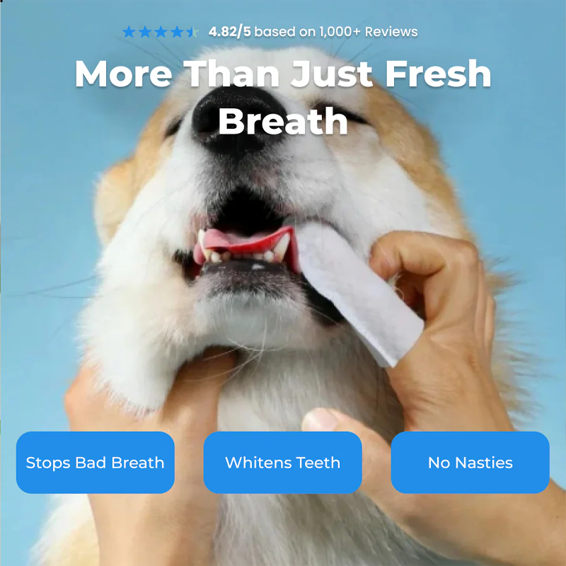 💜 PĒDĒJĀS DIENAS AKCIJA - 50% ATLAIDE🐕 Dabīgas mājdzīvnieku zobu pirkstu salvetes