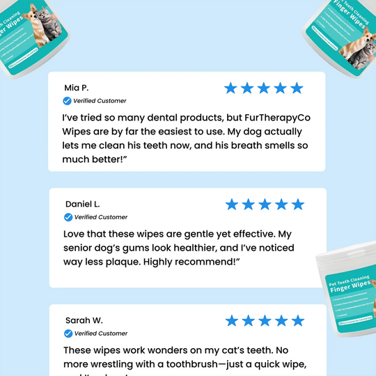 💜 PĒDĒJĀS DIENAS AKCIJA - 50% ATLAIDE🐕 Dabīgas mājdzīvnieku zobu pirkstu salvetes