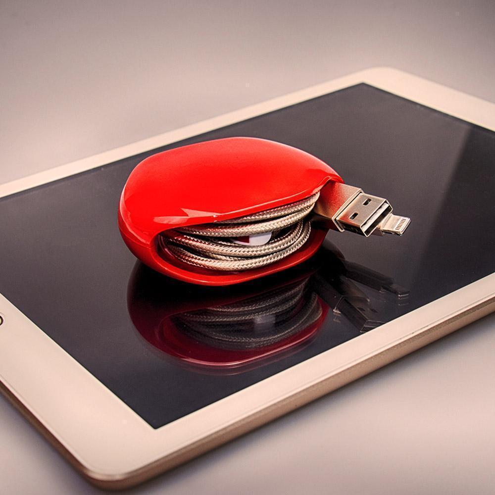 ⏳Time-limited Special⏰Automatic cord reel