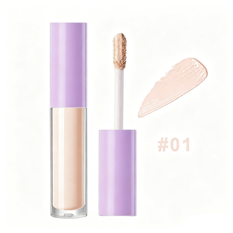 Long-Lasting Flawless Finish Concealer