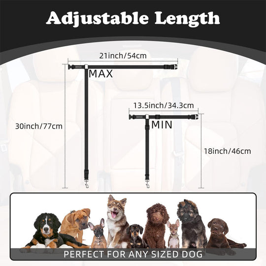 2-in-1 Dog Car Seat Belt & Walking Leash
