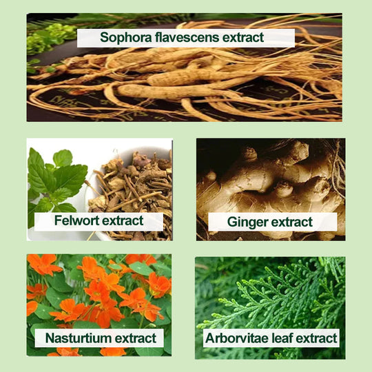 🍀Sliocht Plandaí Ruaim Gruaige Bubble